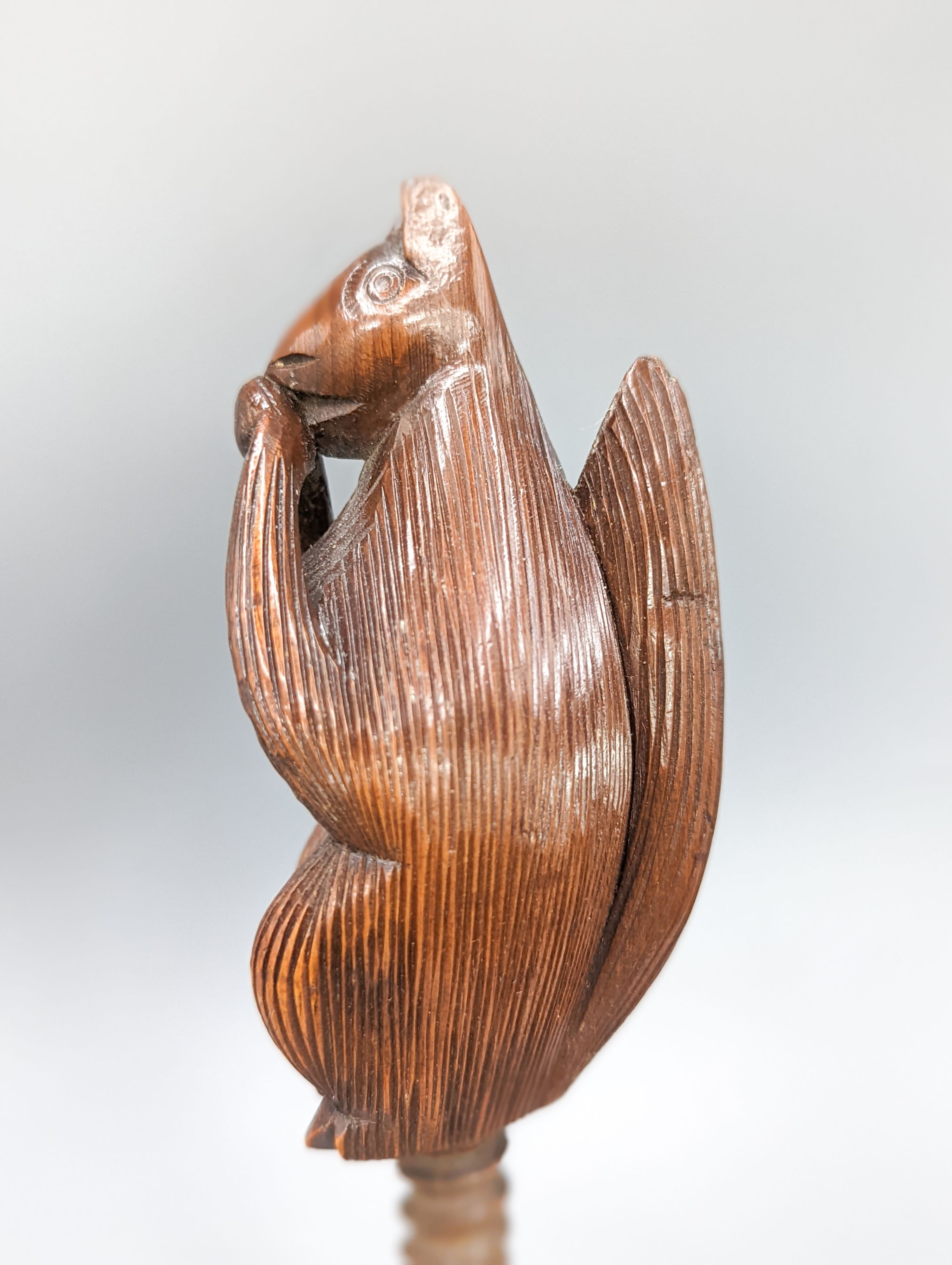 An 18th/19th century fruitwood 'squirrel' nut cracker, 16.3cm
